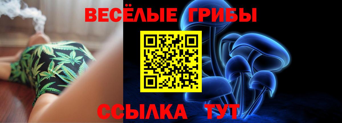 где купить наркотик  Вход с VPN  Торжок  Галлюциногенные грибы Magic Shrooms 